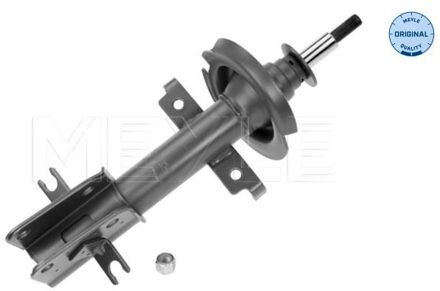 Renault Schokdemper 16266130000