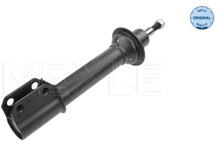 Renault Schokdemper 16266130008