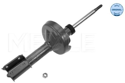 Renault Schokdemper 16266230010