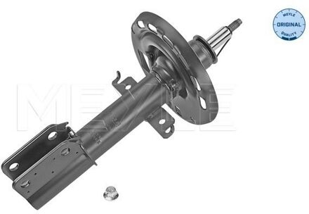 Renault Schokdemper 16266230016