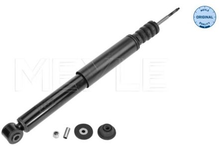 Renault Schokdemper 16267250009