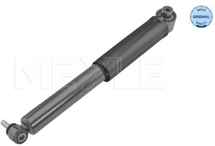 Renault Schokdemper 16267250021