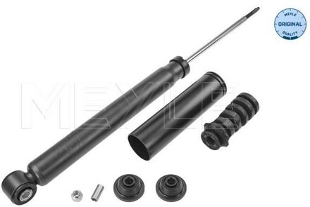 Renault Schokdemper 16267250030