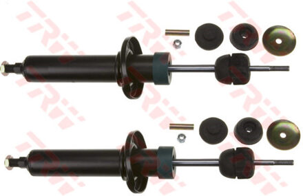 Renault Schokdemper JGS164T