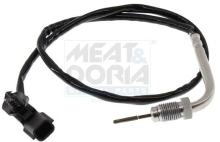 Renault Sensor, uitlaatgastemperatuur 12634