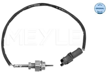Renault Sensor, uitlaatgastemperatuur 16148000044