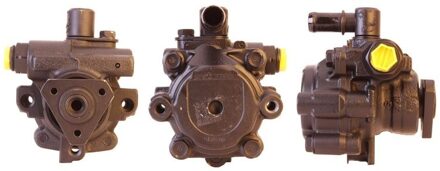 Renault Servo pomp 150610