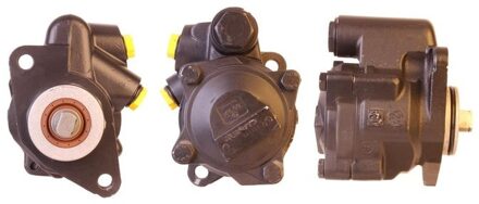 Renault Servo pomp 150890