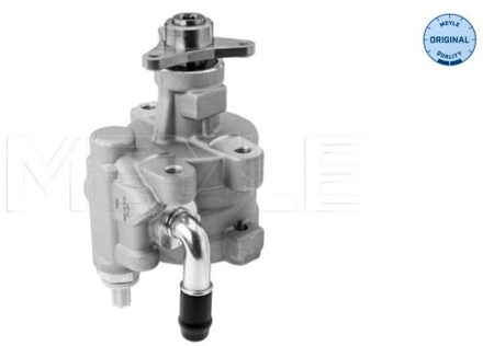 Renault Servo pomp 16146310008