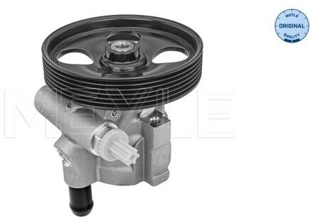 Renault Servo pomp 16166310005