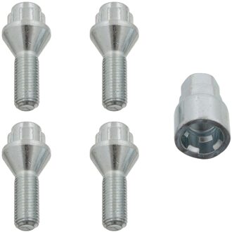 Renault Set wielbouten