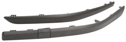 Renault Sier- / beschermingspaneel, bumper 6502076055920Q