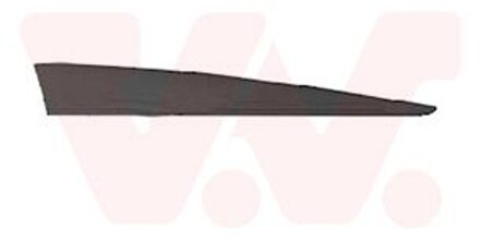 Renault Sier- / beschermingspaneel, deur 4373424