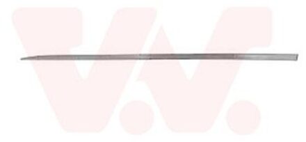 Renault Sier- / beschermingspaneel, deur 4420403