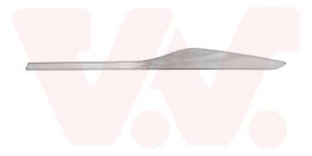 Renault Sier- / beschermingspaneel, deur 4420405