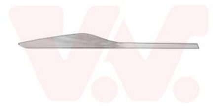 Renault Sier- / beschermingspaneel, deur 4420406