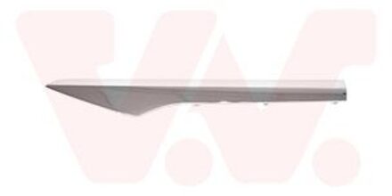 Renault Sier- / beschermingspaneel, deur 4424425