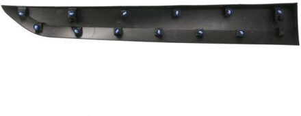 Renault Sier- / beschermingspaneel, deur 5703046057571P