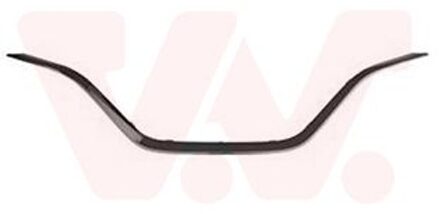 Renault Sier- / Beschermingspaneel, radiateurgrille 4424519