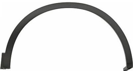 Renault Sier- / beschermingspaneel, spatbord 4446162