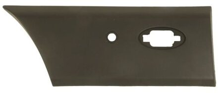 Renault Sier- / beschermingspaneel, zijwand 5703066089574DP