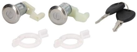 Renault Slotcilinder 601009030427PP