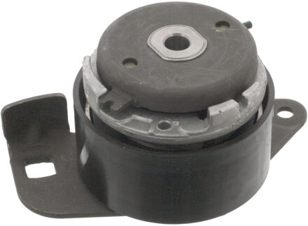 Renault Spanrol 11604