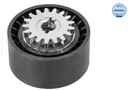 Renault Spanrol, Poly V-riem 16140090013