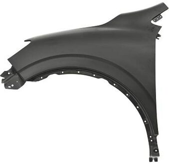 Renault Spatbord 4446007