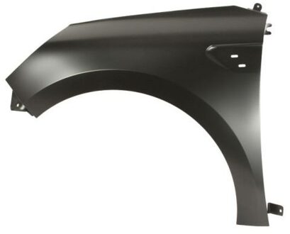 Renault Spatbord 6504046001313P