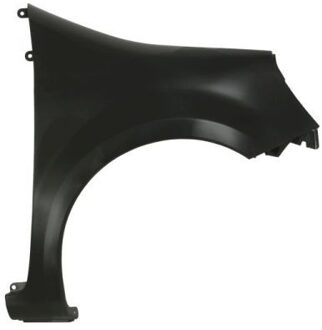 Renault Spatbord 6504046007312P