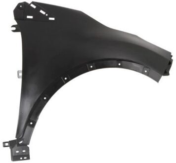 Renault Spatbord 6504046009312P