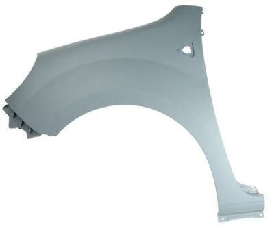 Renault Spatbord 6504046011311P