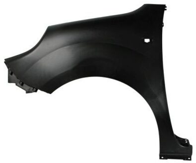 Renault Spatbord 6504046011313P