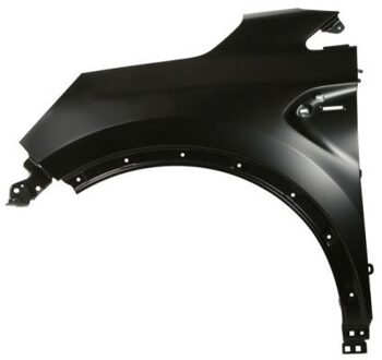 Renault Spatbord 6504046013311P