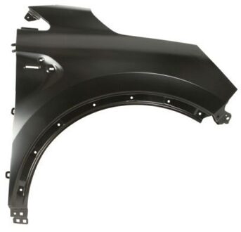 Renault Spatbord 6504046013312P