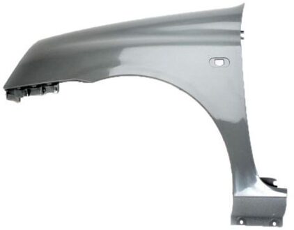 Renault Spatbord 6504046032313P