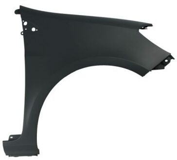 Renault Spatbord 6504046033312Q