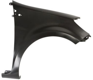 Renault Spatbord 6504046033314P