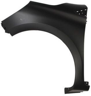 Renault Spatbord 6504046034311Q