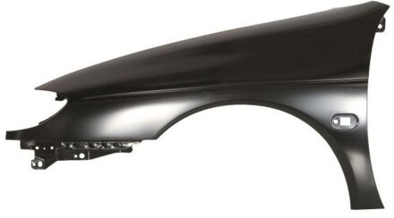 Renault Spatbord 6504046037311P