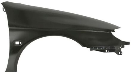 Renault Spatbord 6504046037312P