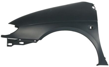 Renault Spatbord 6504046038311P