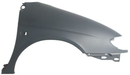 Renault Spatbord 6504046038312P