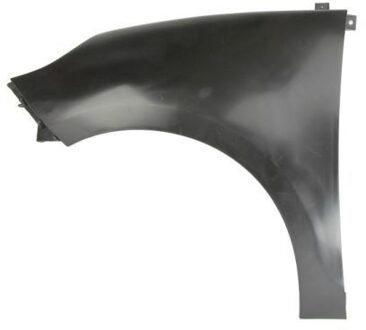 Renault Spatbord 6504046042313P