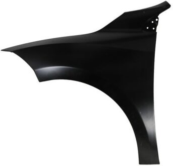 Renault Spatbord 6504046043311P