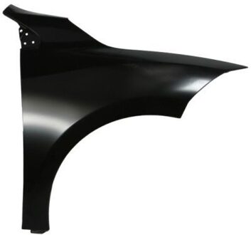 Renault Spatbord 6504046043312Q