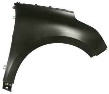 Renault Spatbord 6504046047312P