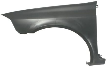 Renault Spatbord 6504046055313P