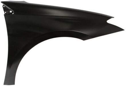 Renault Spatbord 6504046056312P